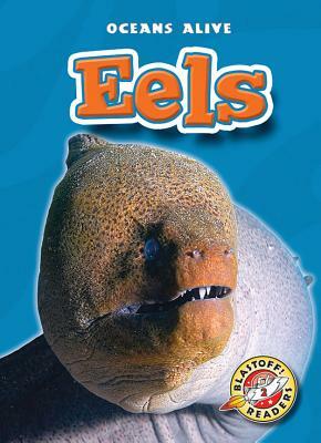 Eels by Derek Zobel