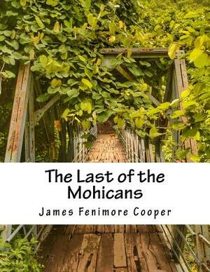 The Last of the Mohicans by James Fenimore Cooper