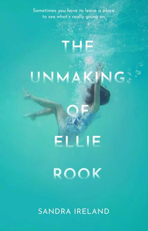 The Unmaking of Ellie Rook by Sandra Ireland