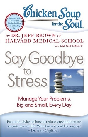 Chicken Soup for the Soul: Say Goodbye to Stress: Manage Your Problems, Big and Small, Every Day by Lisa McManus, Jeff Brown, Liz Neporent