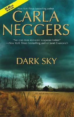 Dark Sky by Carla Neggers