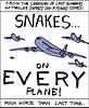 shaewiens's profile picture