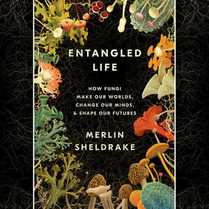 Entangled Life: How Fungi Make Our Worlds, Change Our Minds & Shape Our Futures by Merlin Sheldrake