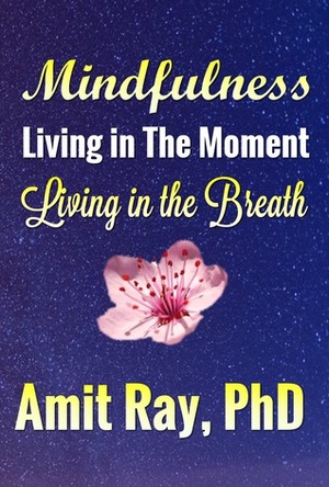 Mindfulness Living in the Moment - Living in the Breath by Amit Ray