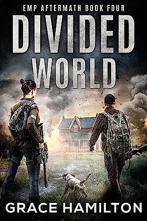 Divided World by Grace Hamilton