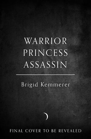 Warrior Princess Assassin by Brigid Kemmerer