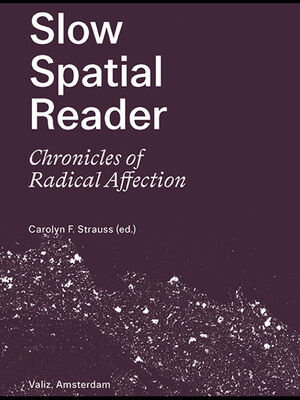 Slow Spatial Reader: Chronicals of Radical Affection by Carolyn F Strauss