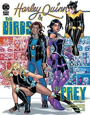 Harley Quinn & the Birds of Prey #4 by Alex Sinclair, Jimmy Palmiotti, Amanda Conner