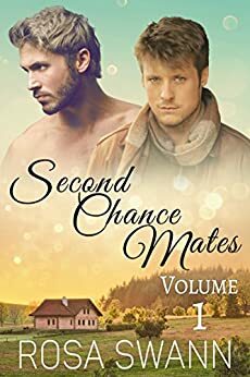 Second Chance Mates Box 1 by Rosa Swann