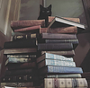 lucy_bookgoblin's profile picture