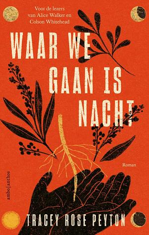 Waar we gaan is nacht by Tracey Rose Peyton