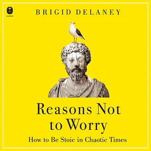 Reasons Not to Worry: How to Be Stoic in Chaotic Times by Brigid Delaney