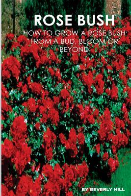 Rose Bush: Learn How To Grow A Rose Bush From A Bud, Bloom or Beyond by Beverly Hill