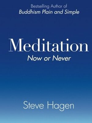 Meditation Now or Never by Steve Hagen