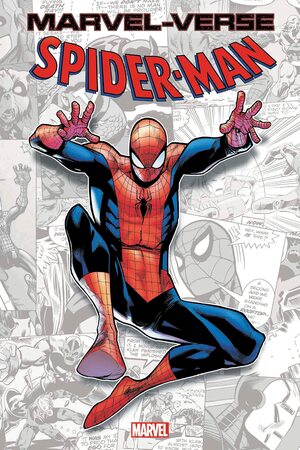 Marvel-Verse: Spider-Man by Paolo Rivera, Steve Ditko, Paul Jenkins, Patrick Scherberger, Erica David, Stan Lee