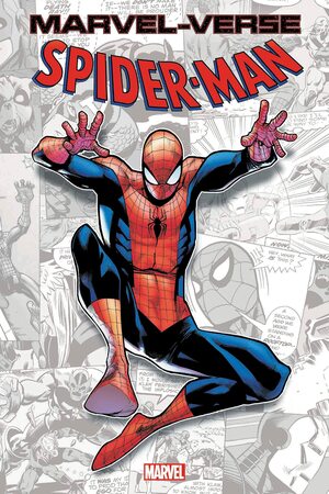 Marvel-Verse: Spider-Man by Paolo Rivera, Paul Jenkins, Steve Ditko, Patrick Scherberger, Erica David, Stan Lee