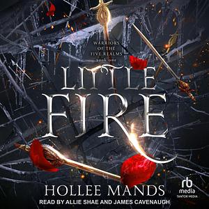 Little Fire by Hollee Mands