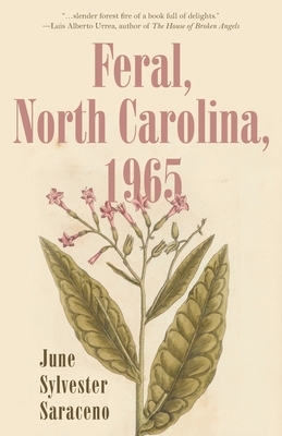 Feral, North Carolina, 1965 by June Sylvester Saraceno