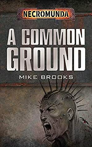 A Common Ground by Mike Brooks