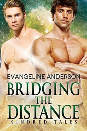 Bridging the Distance by Evangeline Anderson