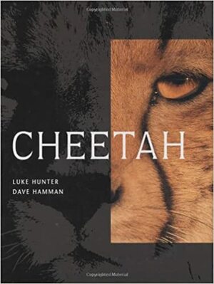 Cheetah by Luke Hunter