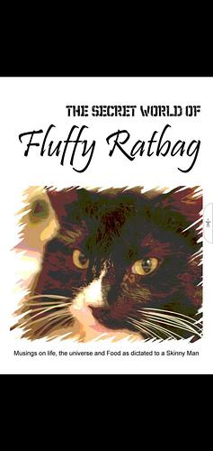 The Secret World of Fluffy Ratbag by David Hoyle