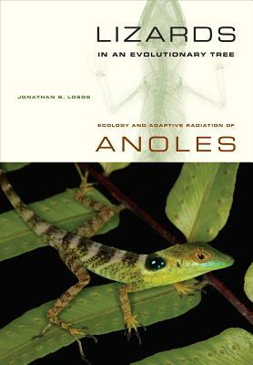 Lizards in an Evolutionary Tree, Volume 10: Ecology and Adaptive Radiation of Anoles by Jonathan Losos
