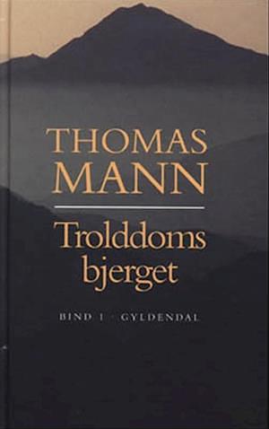 The Magic Mountain by Thomas Mann