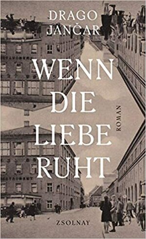 Wenn die Liebe ruht by Drago Jančar