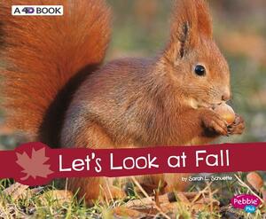 Let's Look at Fall: A 4D Book by Sarah L. Schuette