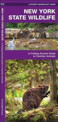 New York State Wildlife: A Folding Pocket Guide to Familiar Species by Waterford Press, James Kavanagh