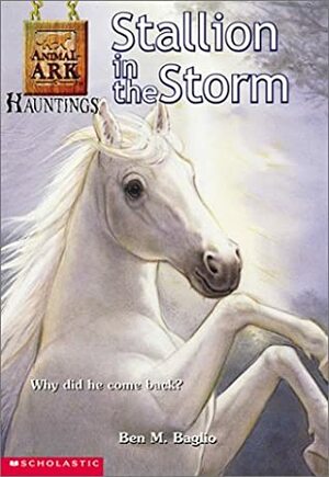 Stallion in the Storm by Ben M. Baglio
