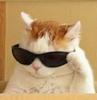 maeawwww's profile picture