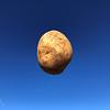 throatsprockets's profile picture