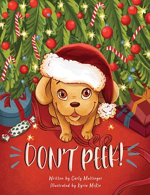 Don't Peek!  by Carly Mottinger