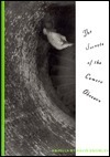 Secrets of the Camera Obscura by David Knowles