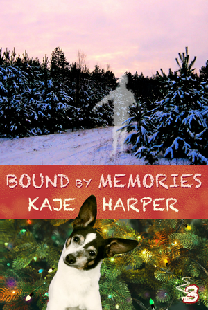 Bound by Memories by Kaje Harper