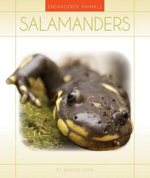 Salamanders by Kristen Pope