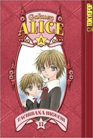 Alice Academy, Vol. 11 by Tachibana Higuchi