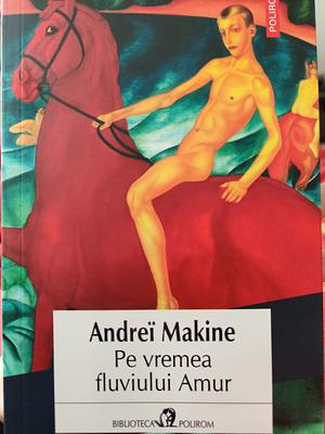 Pe vremea fluviului Amur: roman by Andreï Makine