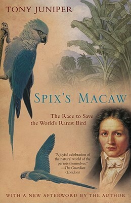 Spix's Macaw: The Race to Save the World's Rarest Bird by Tony Juniper