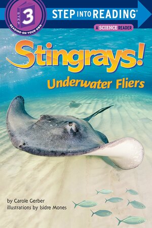 Stingrays! Underwater Fliers by Carole Gerber
