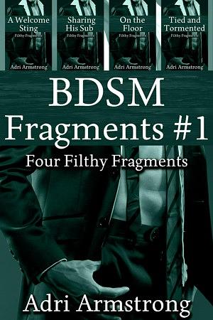 BDSM Fragments by Adri Armstrong