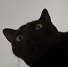 lonndry's profile picture