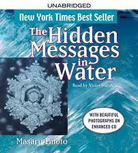 The Hidden Messages in Water by Masaru Emoto