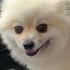 geertrui_delplace's profile picture