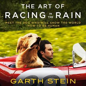 The Art of Racing in the Rain by Garth Stein