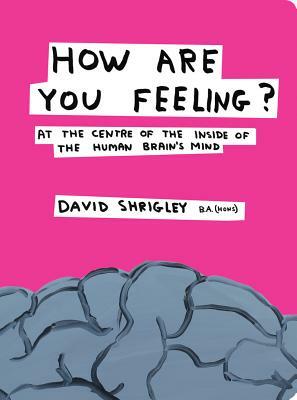 How Are You Feeling?: At the Centre of the Inside of the Human Brain's Mind by David Shrigley