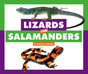 Lizards and Salamanders by Martha London