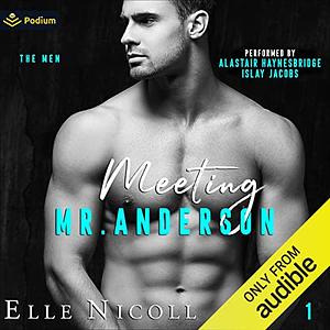 Meeting Mr. Anderson by Elle Nicoll